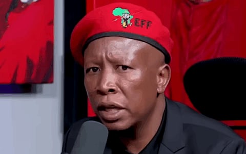 Calling Malema a ‘Cockroach’ is hate speech? Really?: Sara Gon