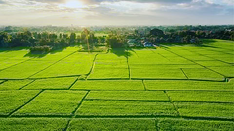 Constitutional land reform: Upholding property rights in South Africa - Ayanda Zulu