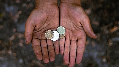 Critical minerals or a loaf of bread - Cathy Buckle