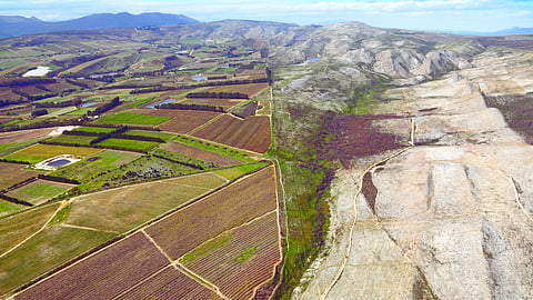 Grabouw land invasion - Western Cape Government appoints task team
