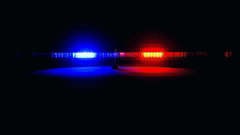 How SAPS killed its detective service - and let crime run wild: Fanie Bouwer