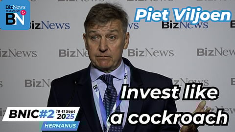 Piet Viljoen: The four pillars of a catastrophe-proof investment portfolio - BNIC#2