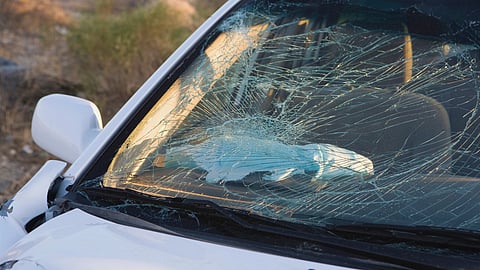 Mailbox: Daylight smash-and-grab leaves tourists stranded and unprotected