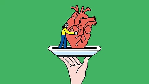 The Economist: Can you eat your way to lower cholesterol?