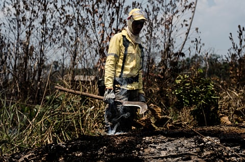 Climate change has wreaked havoc in the Amazon.
