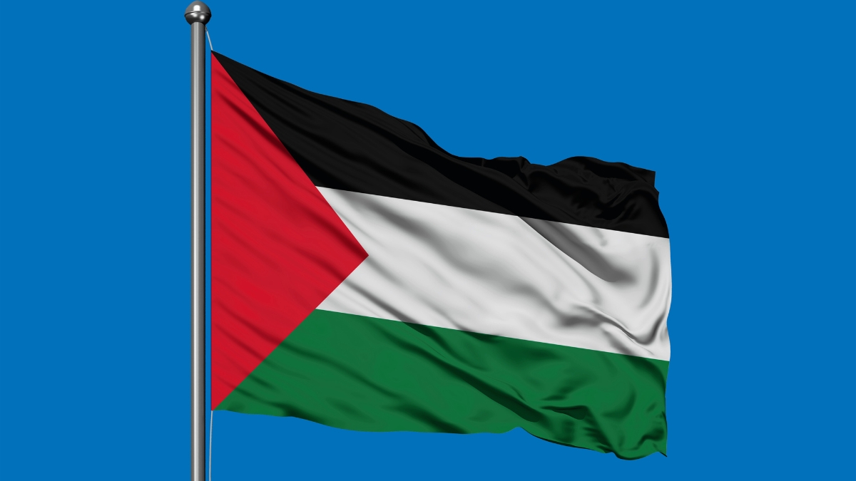 Forced or facilitated? A gaze behind South Africa’s Palestinian arrivals: Thando Nzimande