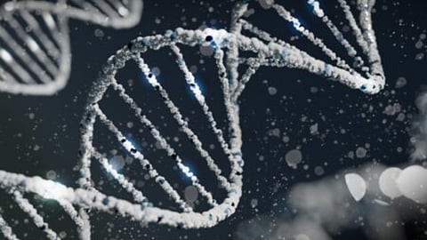 Hitler DNA analysis sparks reflection on what our genes say about us: Garth Zietsman