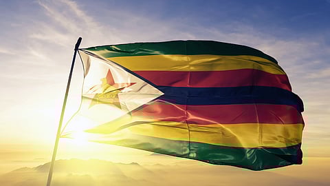 What's in the pot? A Christmas message from Zimbabwe: Cathy Buckle