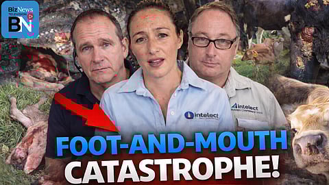 Director’s Cut: Foot-and-Mouth crisis - Why SA’s livestock industry is on the brink