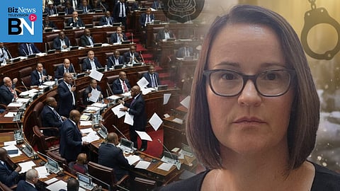 Juanita Du Preez: Police- and political capture - more worms crawl out the can…