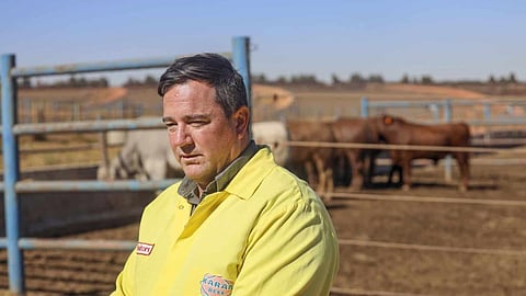 Steenhuisen has the FMD blueprint, he just refuses to follow it — Andrew Morphew