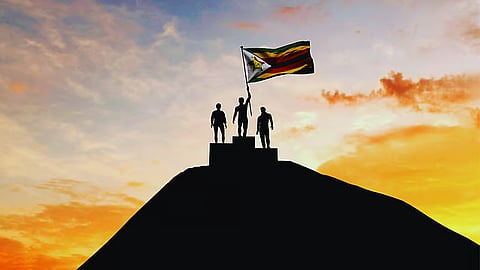 Cathy Buckle: 90 days to stop the coup on Zimbabwe's constitution