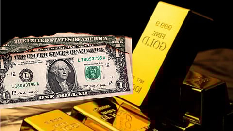 Piet Viljoen: Don't hold the bag when the fiat illusion collapses – buy gold, land, and real businesses