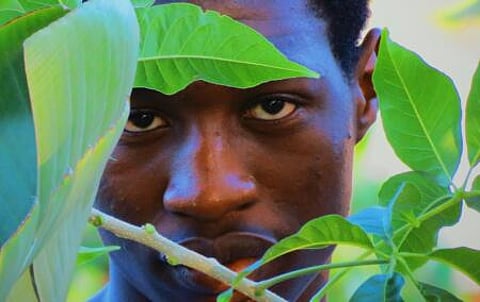 SLR: Mugabe's evil son - Not even savages shoot Malawian gardeners