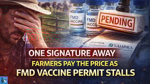The Dunevax Delay: SA’s FMD crisis isn’t a vaccine shortage — it’s a signature shortage