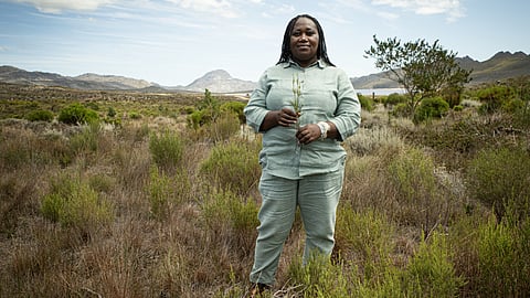 SAB spotlights South African women restoring water systems through invasive species clearing in the Western Cape