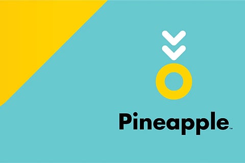 No legacy drag, all juice: Pineapple’s efficiency play earns Endeavor Outlier nod