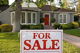 Smart, 25 and looking for share investment ideas