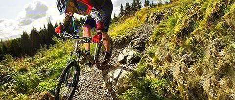 Seeking The Perfect Mountain Bike