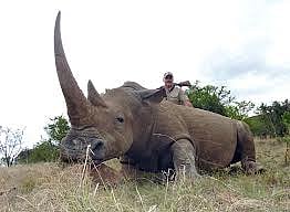 Namibian rhino hunting permit to fetch $1m