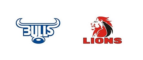 Bulls vs Lions - who will win?