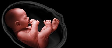 Is 'Great' produced in the womb or on the field?