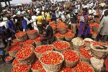 Tomatoes are displayed in baskets for sale at a local food market in Lagos December 16, 2013. REUTERS/Akintunde Akinleye