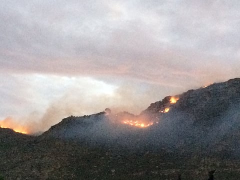 Proteas Steyn, Faf distracted as Cape mountain fire rages near their homes