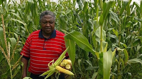 SA turns to Mexico for maize as drought bites output