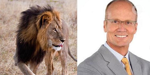 Jani Allan: Cecil the lion’s killer now one getting hunted – by outraged Americans