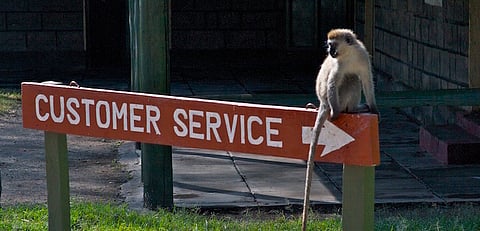 Your grumpy customer is potentially your best friend – ask me