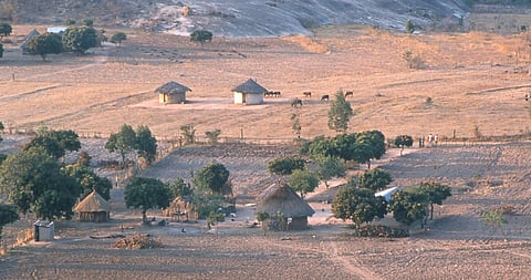 Cathy Buckle: Zim’s contradictory Land programme. Nothing fair or Impartial.