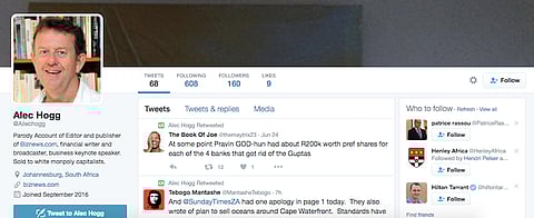 Catfish and parodies – my 15 minutes of Twitter infamy