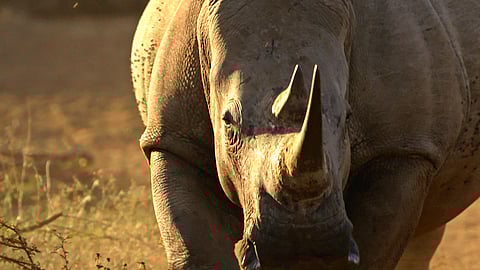 Copyright: Al Jazeera