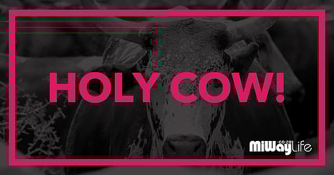 MiWayLife reimagines Life Insurance with new Ad Campaign