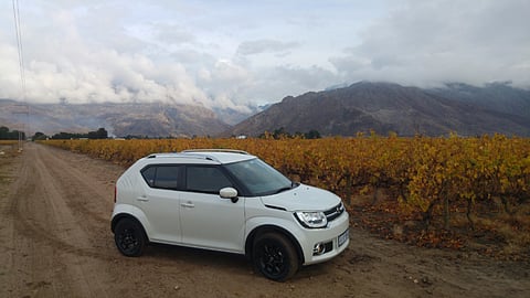 Suzuki Ignis: New king of the mini crossover