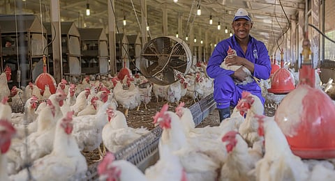 RCL Foods shows enough to encourage those seeking turnaround punt