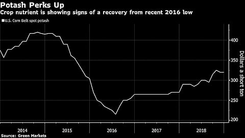 Potash perks up, sparking BHP dilemma on $20bn project