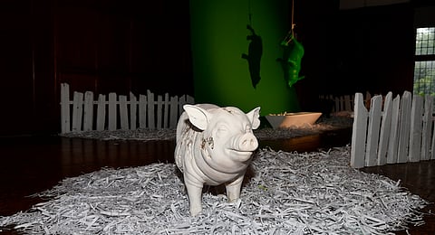 State capture swines: Trader-artist James Gubb unveils Gupta pigs. MUST SEE!