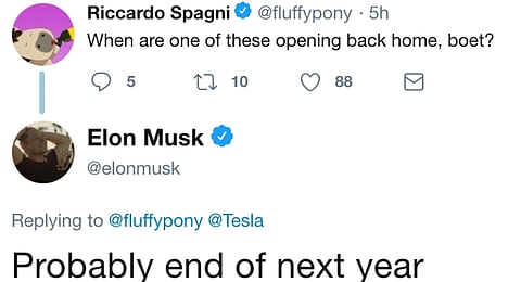 Fluffy Pony tweet reveals Elon Musk is bringing Tesla to SA