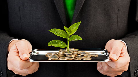 Businessman holding tray with coins and seedling