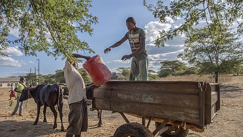Community members load water containers onto an ox-drawn cart in Mbire, Zimbabwe, on Friday, May 14, 2021. In the complicated new math of climate solutions, villagers clearing brush in southern Africa can end up redefining networks of global commerce worth billions of dollars. Photographer: Cynthia R Matonhodze/Bloomberg