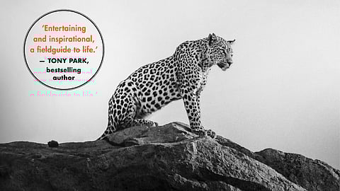 Changing a Leopard's Spots