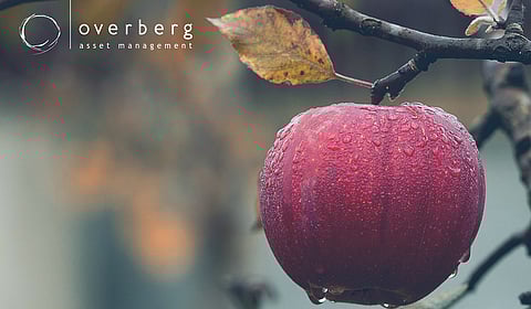 Keeping at it at Jackson Hole