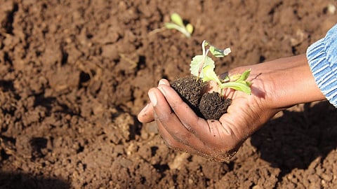 South African farmers face racial requirements for water use licences, posing existential threat – Corrigan