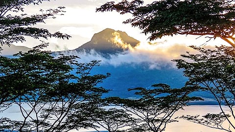 Seeking hope in the beauty of the Zimbabwean bush