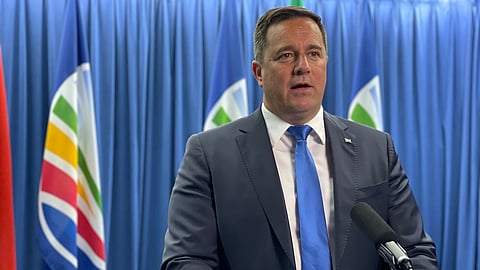 DA leader John Steenhuisen