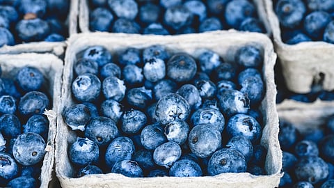 https://pixabay.com/photos/blueberries-bunch-berries-fruits-1326154/