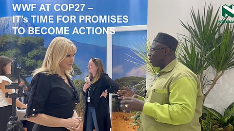 Laurent Magloire Some