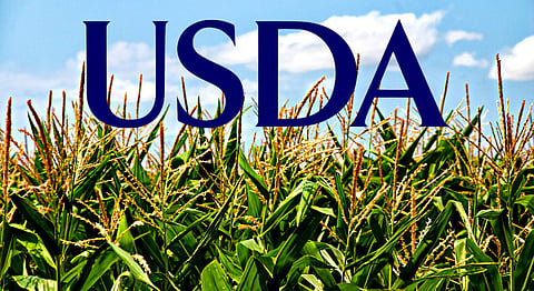 The beginning of the end of good global health – Prof. Noakes on Keys’ Cholesterol Con